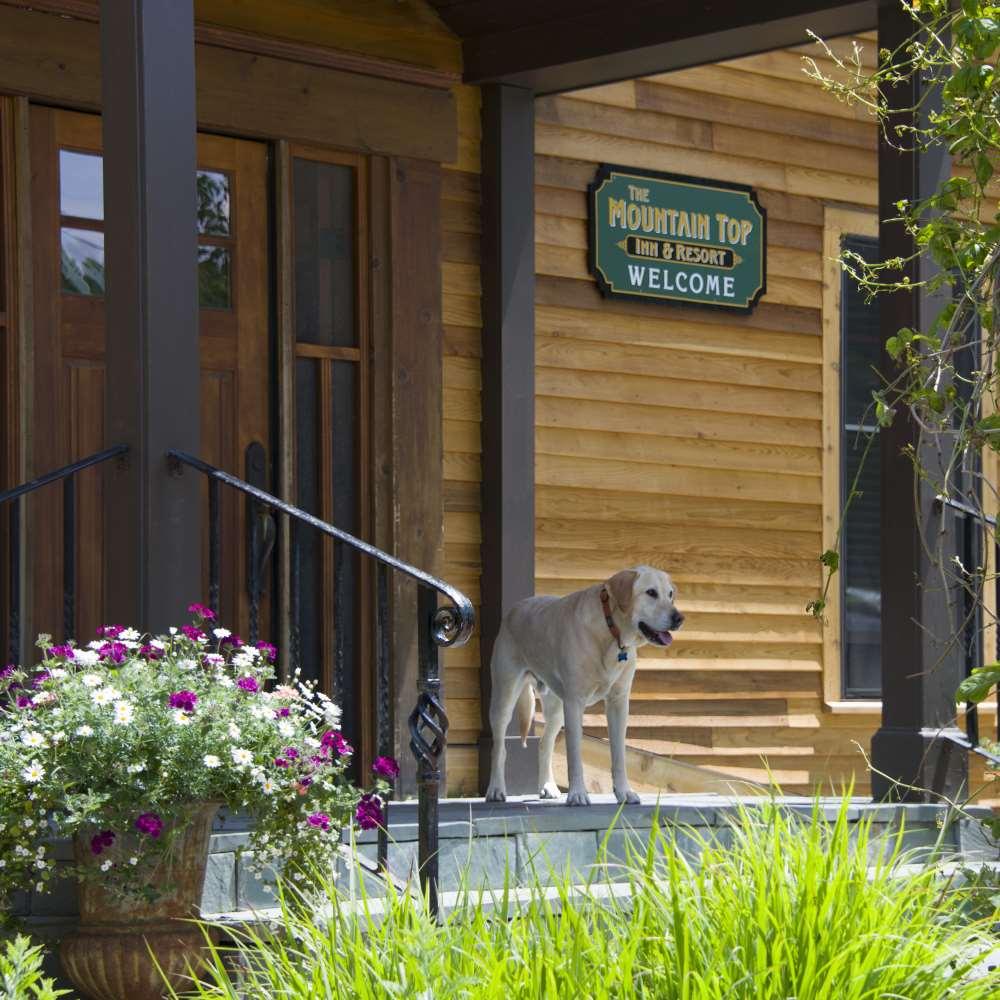 The Mountain Top Inn & Resort Chittenden Voorzieningen foto